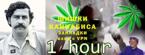 сатива Абдулино