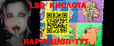 гидра Тара