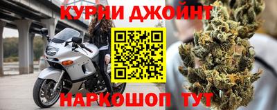 гидра Тара