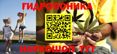 гидра Тара