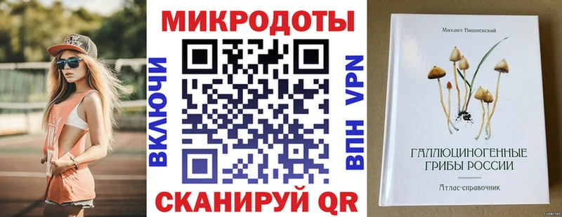 как найти закладки Ростов-на-Дону Псилоцибиновые грибы MAGIC MUSHROOMS